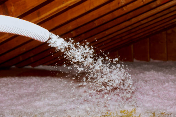 Best Insulation Materials and Products in Foresthill, CA