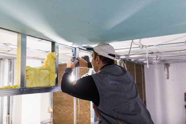 Best Types of Insulation in Foresthill, CA