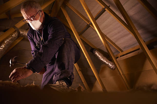Best Commercial Insulation in Foresthill, CA